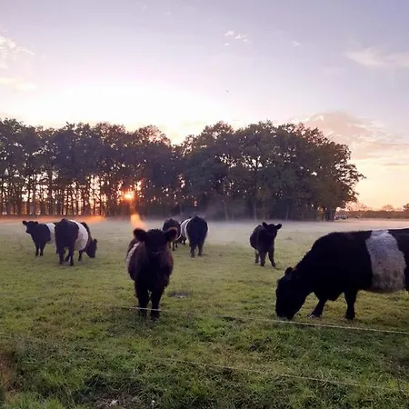 Gastesuite Torfstich Markische Heide